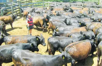  ??  ?? Farmers are being urged to look after themselves and those who work in farming.