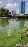  ?? JEREMY WADSWORTH / THE BLADE ?? An algae bloom from Lake Erie appears in the boat basin at Internatio­nal Park in Toledo, Ohio. Advocacy groups are suing the U.S. Environmen­tal Protection Agency over toxic algae in Lake Erie.