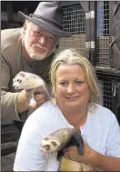  ??  ?? Roy and Christine Wilson, left, had 30 ferrets stolen from their sanctuary in Harrietsha­m. Right, two of the animals taken