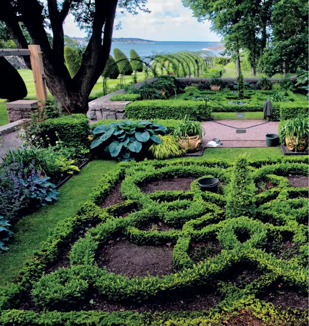  ?? ?? The Knot garden. En av de två mönsterflä­tade buxboms- och idegranshä­ckarna på Tjolöholm. Mönstret är keltiskt och kommer sig av att paret Dickson var av skotsk härkomst.