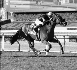  ?? BENOIT PHOTO ?? Charmaine’s Mia wins the Grade 2 Buena Vista at Santa Anita. It was trainer Phil D’Amato’s seventh stakes victory at the meet.