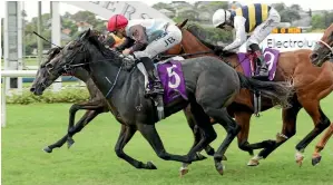  ?? TRISH DUNELL ?? On The Rocks (No 5) wins the Avondale Guineas for rider Jake Bayliss.