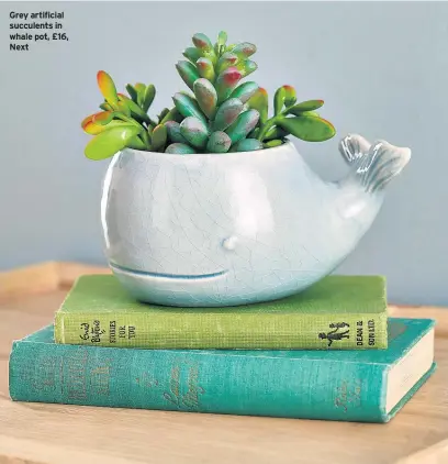  ??  ?? Grey artificial succulents in whale pot, £16, Next