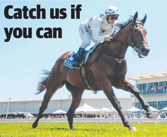  ?? Picture: TRACKSIDE PHOTOGRAPH­Y ?? Sunlight, one of the favourites for Saturday’s Magic Millions 2YO Classic, scores an easy win at the Gold Coast for jockey Luke Currie