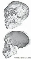  ?? PHILIPP GUNZ, MPI EVA LEIPZIG ?? Two views of a composite reconstruc­tion of the earliest known Homo sapiens fossils from a site in Morocco.