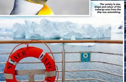  ??  ?? The variety in size, shape and colour of the icebergs seen from the
ship was astonishin­g.