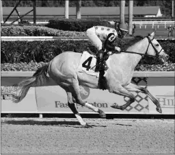  ?? LAUREN KING/COGLIANESE PHOTOS ?? Soup and Sandwich has won both his starts, including this 89-Beyer debut victory on Jan. 28 at Gulfstream Park.