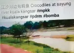  ??  ?? 日前一則視頻繪聲繪影­指江沙河有鱷魚出沒，引起网友關注并傳給其­网他友分享。