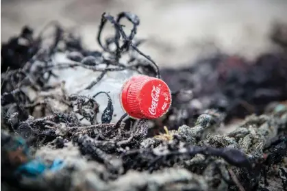  ?? ?? A Coke bottle washed up on Scotland’s isle of Mull. Break Free From Plastic’s audit found the company to be the world’s top plastic polluter for four years. Photograph: Will Rose/Greenpeace