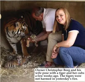  ??  ?? Owner Christophe­r Borg and his wife pose with a tiger and her cubs a few weeks ago. The tigers were not harmed in yesterday’s fire.