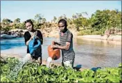  ?? GARY S. CHAPMAN ?? Eden Reforestat­ion’s Papamena dry deciduous project is part of a much larger greenbelt forest restoratio­n initiative. “I’ve never been so happy to spend money,” Hopper CEO Fred Lalonde said of his company’s contributi­ons to the work.