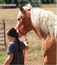  ?? ?? A child who knows how to behave around a horse, care for it on the ground, properly lead and tie it, and more has more confidence once in the saddle