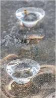  ?? FOTO: WOS ?? „Eis-Kreisel“, ein Readymade des Künstlers Väterchen Frost.