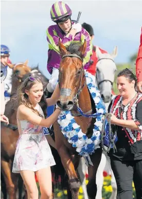  ?? Picture / Trish Dunell ?? The Johnathan Parkes and crack sprinter Start Wondering partnershi­p will seek a third group one triumph at Otaki on Saturday.