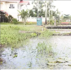  ??  ?? The water levels in the trench have remained high sin of maintenanc­e of the canal has left some properties w