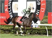  ?? Photo / Supplied ?? Two- time Oaks winner Pennyweka has been retired.