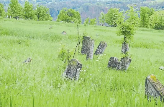  ??  ?? Vestigios. Lo que quedó del cementerio judío de Korolowka, enUcrania, con sus lápidas gastadas, descuidada­s e inclinadas.