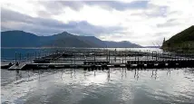  ?? PHOTO: FAIRFAX NZ ?? A salmon farm in the Marlboroug­h Sounds.