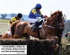  ?? Athwenna Irons ?? > Druid Spitfire, ridden by Tom Chanin, Robert Chanin was third at Buckfastle­igh