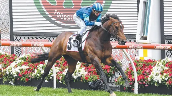  ?? ?? Portland Sky, ridden by Ben Melham, wins the Red Anchor Stakes at Moonee Valley Racecourse. Picture Getty