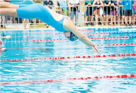  ?? ?? Lily Digrandi dives into the breaststro­ke race at the Victorian Country Championsh­ips.