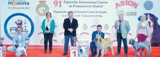 ?? FOTOS: IFEMA ?? Premiación de ganadores de una exposición de 100x100 Mascotas, feria de Ifema con la que también colabora la Real Sociedad Canina.