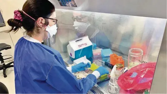  ?? CORTESÍA ?? kEl Instituto de Microbiolo­gía de la Universida­d San Francisco de Quito anunció ayer otros tres casos confirmado­s de la nueva variante, que se suma al caso índice.