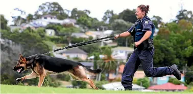  ??  ?? Constable Elyse Lewis is one of three female dog handlers in New Zealand. She is based in Whangarei.