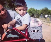  ?? (Special to The Washington Post/Safe in Austin) ?? Jamie Wallace-Griner (left) with Ace, 4, who has cerebral palsy, and Mikey the piglet during a visit to Safe in Austin several months ago.