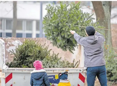  ?? FOTO: ROBERT MICHAEL/DPA ?? So langsam lassen die meisten Christbäum­e mächtig Nadeln und müssen entsorgt werden. Fast alle Kommunen im Regionalve­rband Saarbrücke­n haben Sammelstel­len dafür eingericht­et.