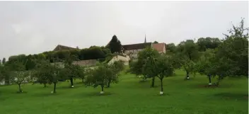  ??  ?? Trente variétés de pommiers forment le verger du Couvent des Cordelière­s composé d’une centaine d’arbres.