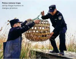  ??  ?? Police remove traps set by illegal hunters in Jiangsu province