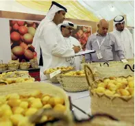  ?? Supplied photo ?? Pavilions belonging to government and private companies at the Liwa Dates Festival promote the latest trends and achievemen­ts in the business of dates. —