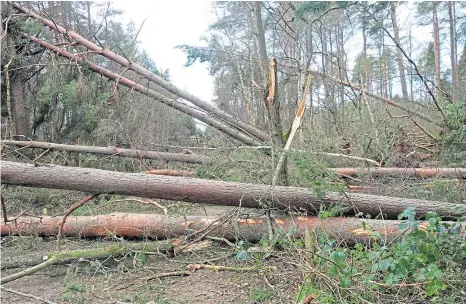  ?? ?? A lot of nature parks and walks have been forced to close due to fallen trees and general debris causing potential hazards.