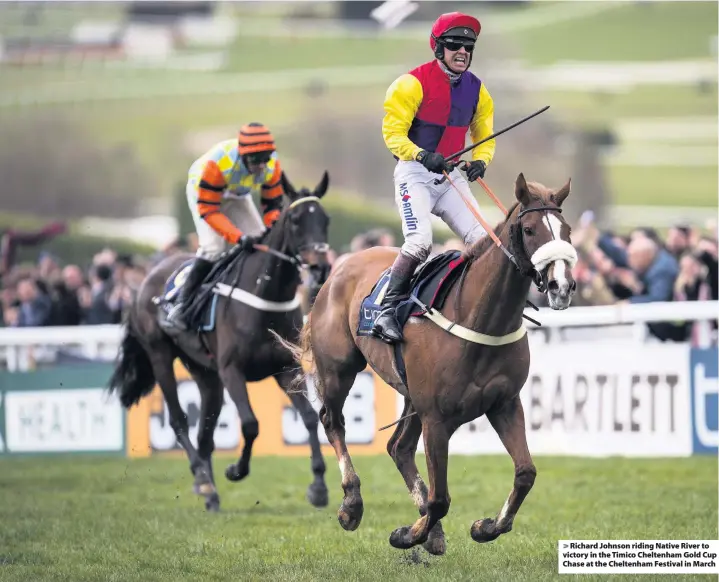  ??  ?? Richard Johnson riding Native River to victory in the Timico Cheltenham Gold Cup Chase at the Cheltenham Festival in March