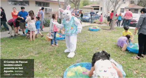  ?? RAPHAEL COSME / LA PRENSA ?? El Conejo de Pascua también estará presente en San Agustín.