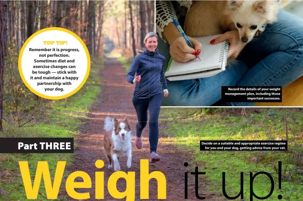  ??  ?? Record the details of your weight management plan, including those important successes.
Decide on a suitable and appropriat­e exercise regime for you and your dog, getting advice from your vet.