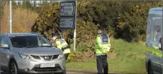  ??  ?? Garda Sorcha Walsh and Garda Ciaran Delany at a checkpoint at Raheernagu­rren East outside Gorey at the weekend.