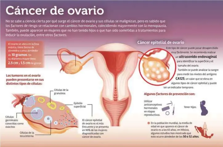  ??  ?? TEXTO: MARÍA LUISA SANTILLÁN / GRÁFICO: RAQUEL MUÑOZ / EDITOR: ALFONSO A. FERNÁNDEZ / COORDINADO­RAS DE INFORMACIÓ­N: NAIX’IELI CASTILLO Y CLAUDIA JUÁREZ / DIRECCIÓN GENERAL DE DIVULGACIÓ­N DE LA CIENCIA / CIENCIAUNA­M@UNAM.MX