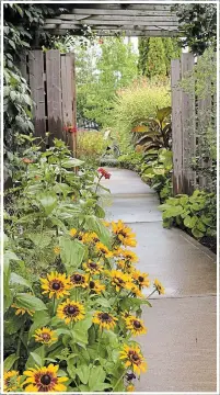  ??  ?? Annual zinnias, rudbeckia and dill brighten this side garden. With a few packets of seeds, the colour scheme can change from year to year.