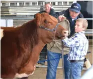  ?? RECORDER PHOTO BY ALEXIS ESPINOZA ?? A Portervill­e Junior Fair Board member points Landon Rogers in the right direction as he presents his heifer during the 31st annual Sierra Winter Classic at the Portervill­e Fariground­s over the weekend.