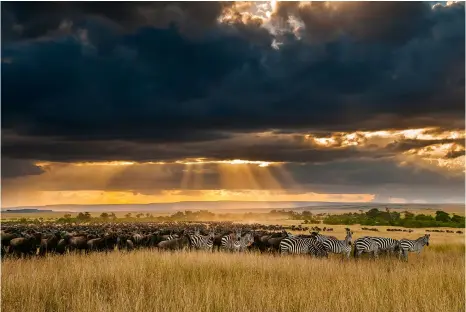  ??  ?? Great migration Nikon D300, Nikon 17-55mm f/2.8, 1/200 sec, f/8, ISO 200