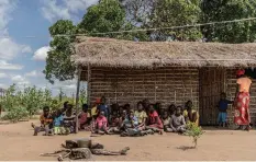  ??  ?? THIS family who escaped armed attacks in Mucojo are now living on borrowed land outside Montepuez. Food is scarce and their grandmothe­r spoke of the family having to survive from one ladle of rice or maize a day.