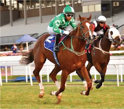  ?? Picture: JC Photograph­ics. ?? IMPRESSIVE: Muzi Yeni brings home Argo Alley for owner/trainer St John Gray in the Jockeys Vs Work Riders race at Turffontei­n last Saturday.