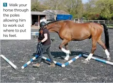  ??  ?? Walk your horse through the poles allowing him to work out where to put his feet.