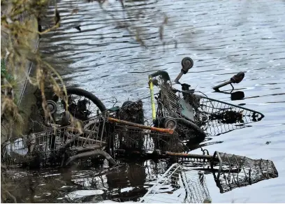  ??  ?? Trolleys in less than pristine condition after spending some time in the Tawe.