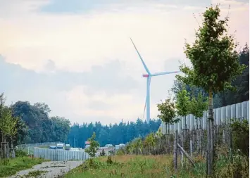  ??  ?? Aus einem ökologisch bislang eher wertlosen Grünstreif­en an der A 8 bei Zusmarshau­sen (hier in Blickricht­ung Scheppach) soll eine Blühwiese für die Artenvielf­alt entstehen.