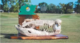  ?? ?? The NT PGA Championsh­ip trophy, left. The tournament will not go ahead for the 2024 season as $3m worth of key irrigation works are underway at the Palmerston Golf and Country Club and won’t be ready in time for the competitio­n.