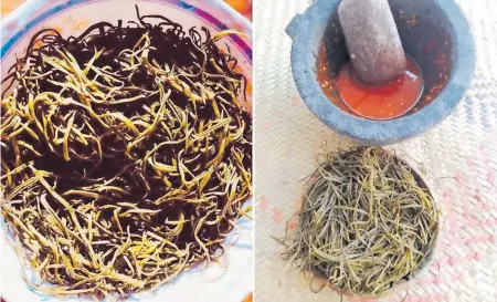  ?? /CARMEN FLORES ?? El platillo se degusta tradiciona­lmente con salsa de chiles secos, elaborada en molcajete