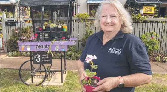  ?? Picture: Nev Madsen. ?? GIVING SPIRIT: Sandra Norris raises money for charity through her plant sales from garden cuttings.